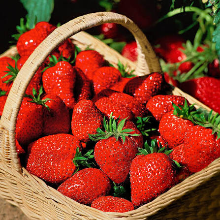 Sweet Red Strawberries 250g